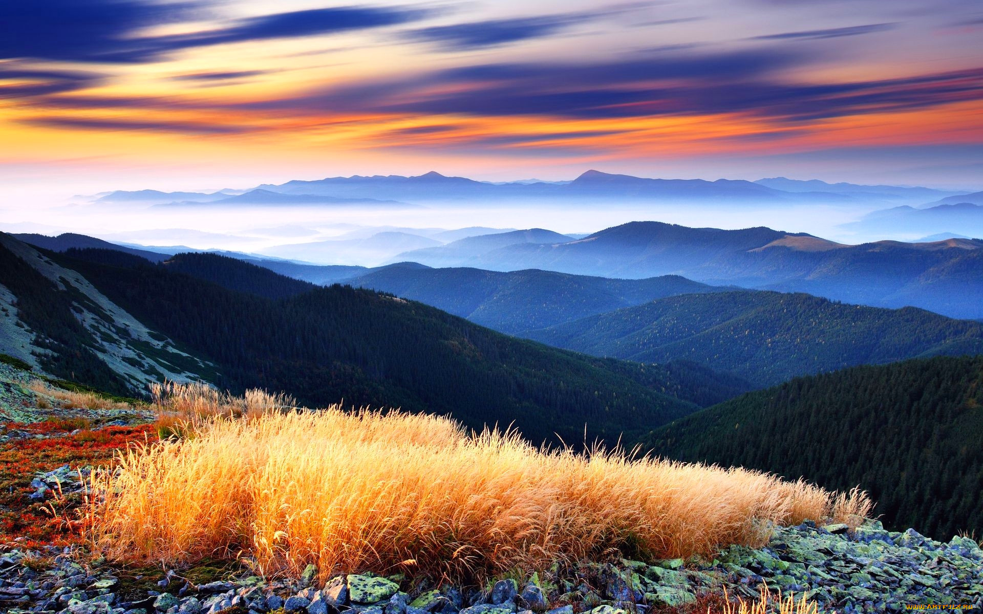 beautiful, highlands, , , , , 